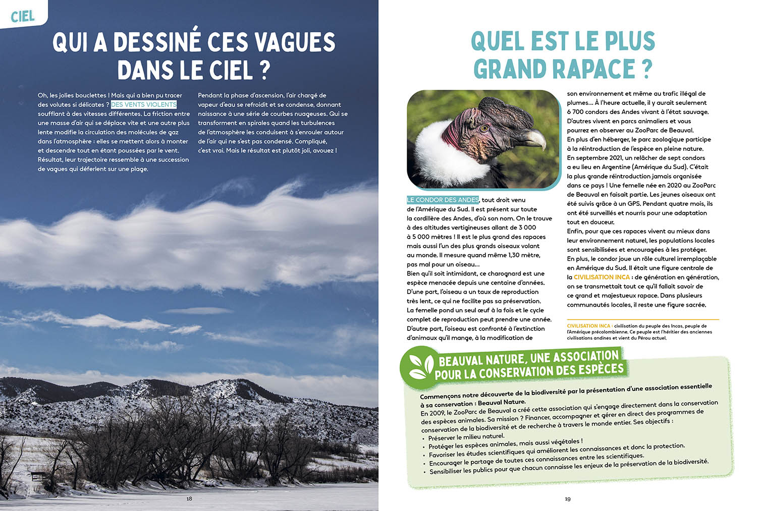 LES MYSTERES DE LA NATURE - SCIENCES ET VIE JUNIOR