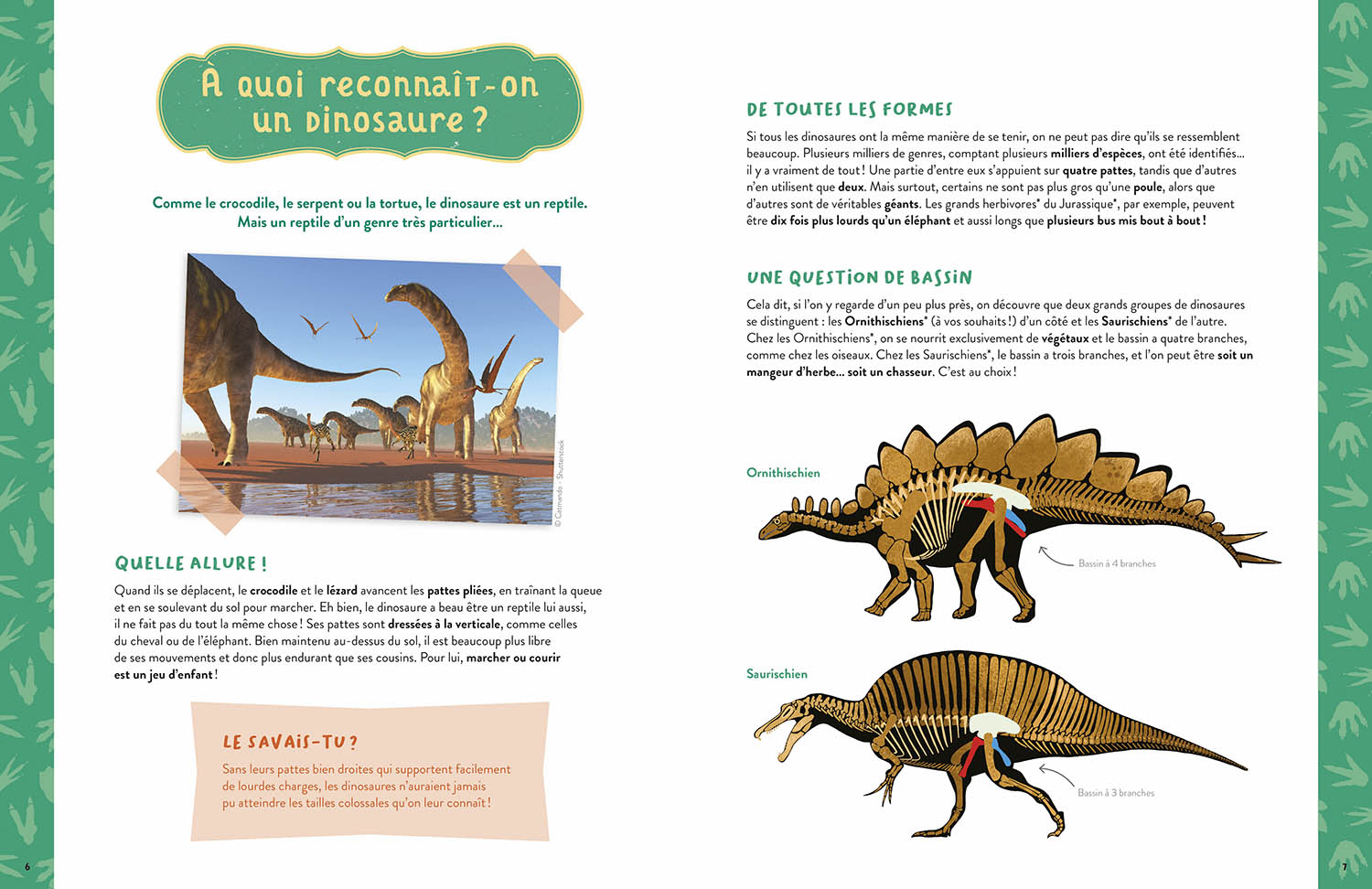 Mes dinosaures à construire