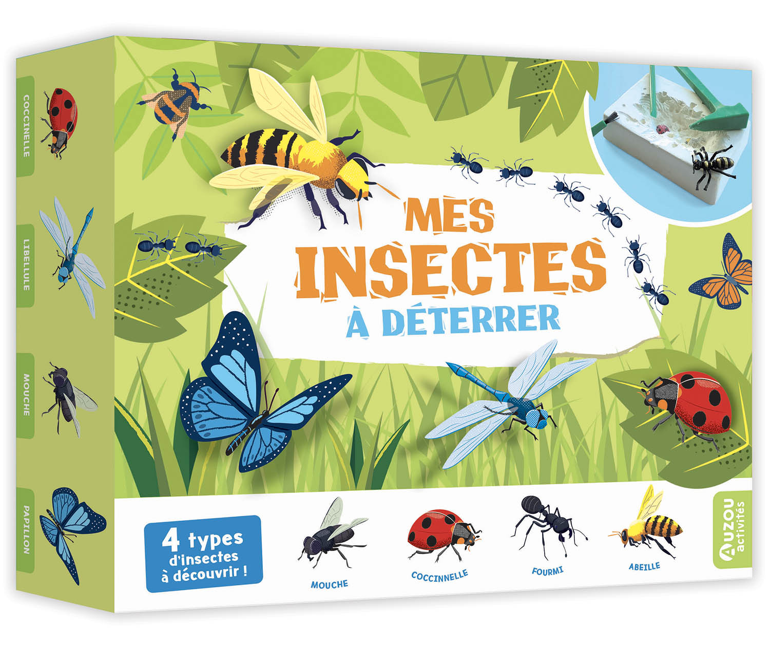 Mes Insectes À Déterrer Mes Insectes À Déterrer