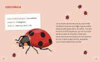 Mes insectes à déterrer