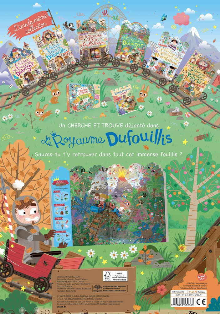 LE ROYAUME DUFOUILLIS