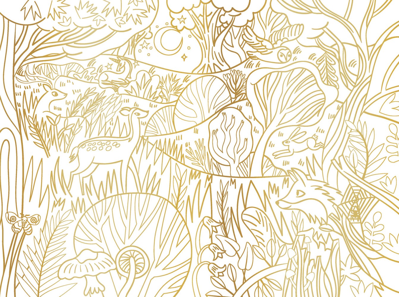 Tableaux enchantés à colorier