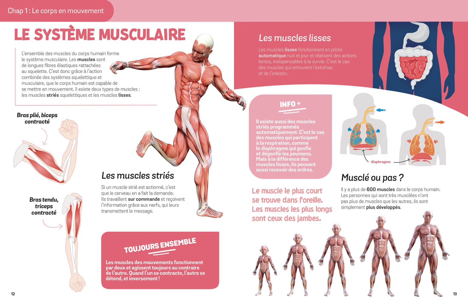 LE CORPS HUMAIN