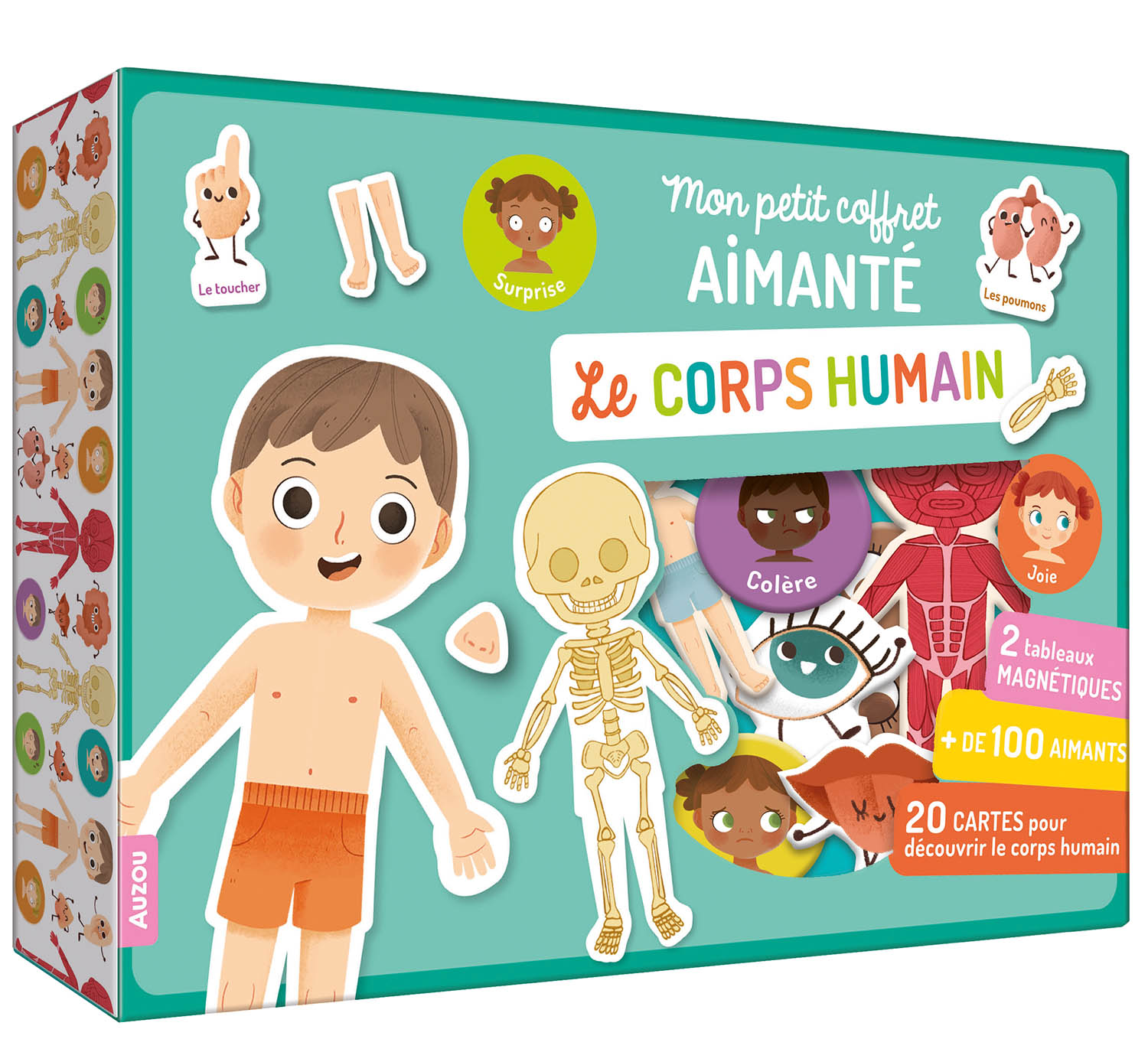 Mon Petit Coffret Aimanté - Le Corps Humain