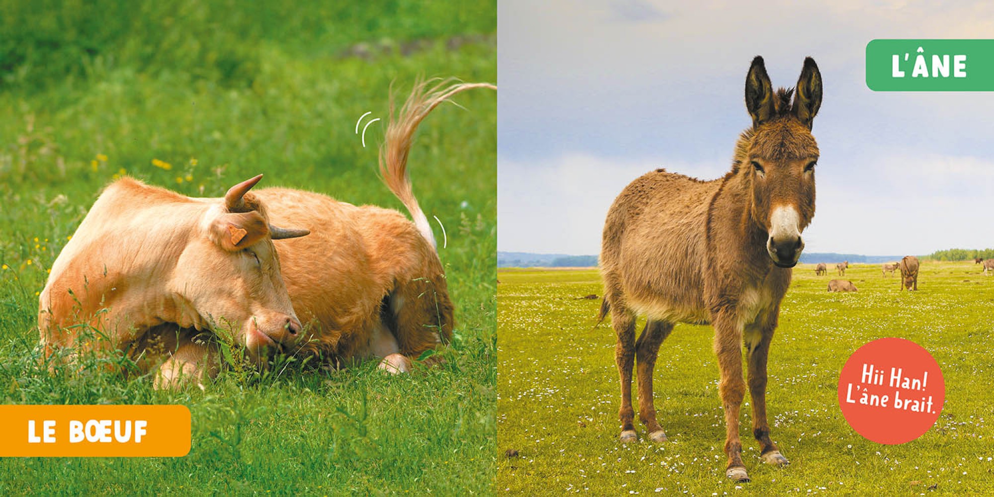 Les Animaux De La Ferme