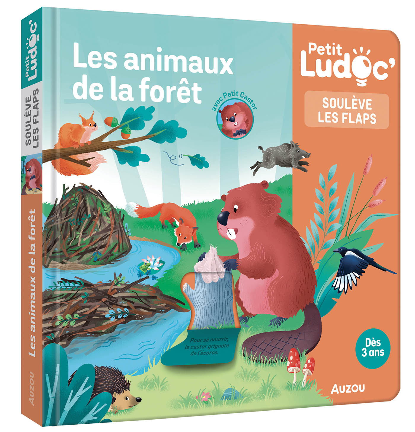 LES ANIMAUX DE LA FORET P