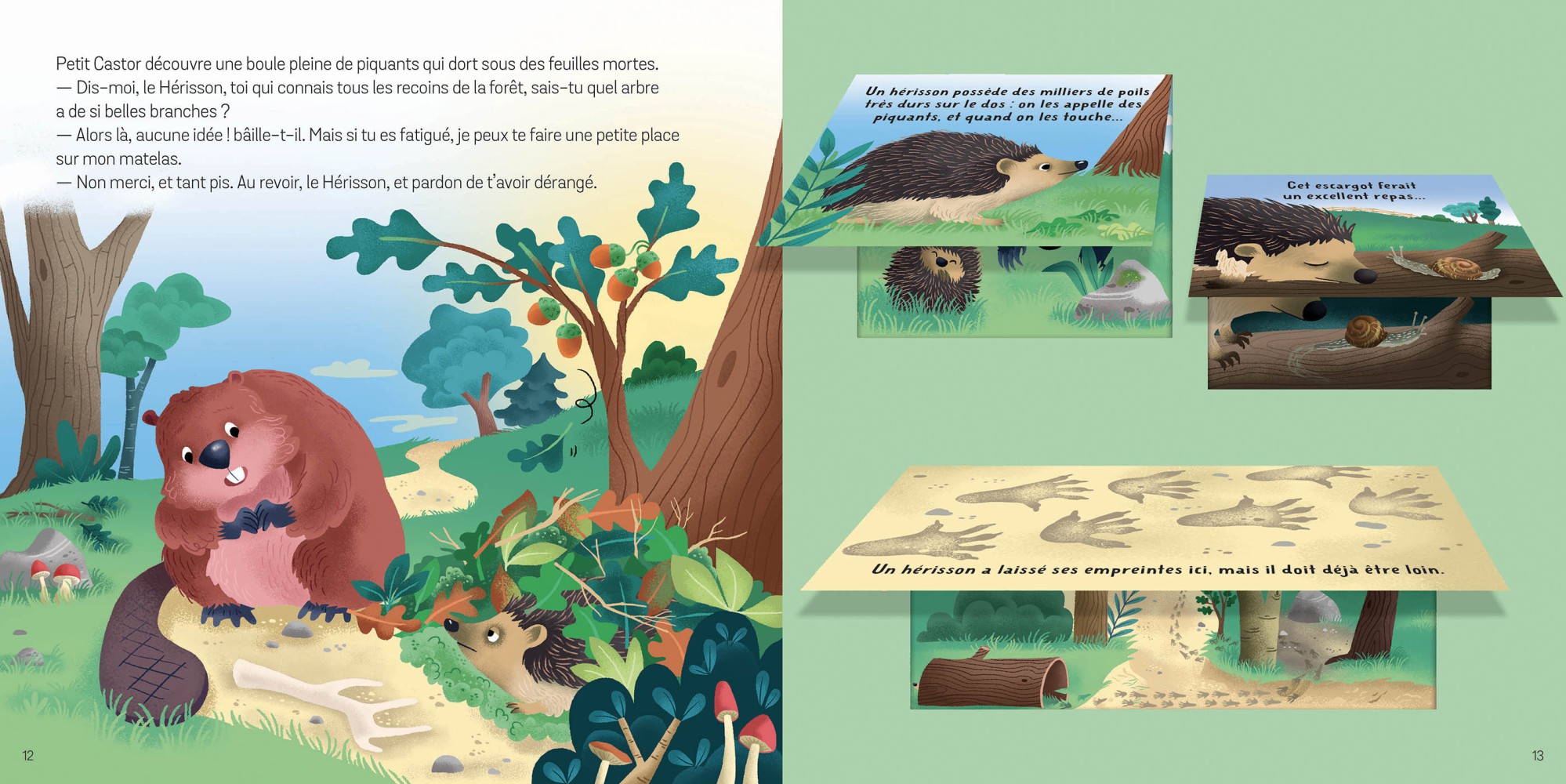 LES ANIMAUX DE LA FORET P