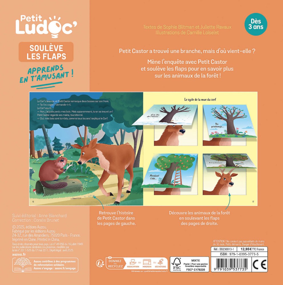 LES ANIMAUX DE LA FORET P