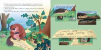 LES ANIMAUX DE LA FORET P
