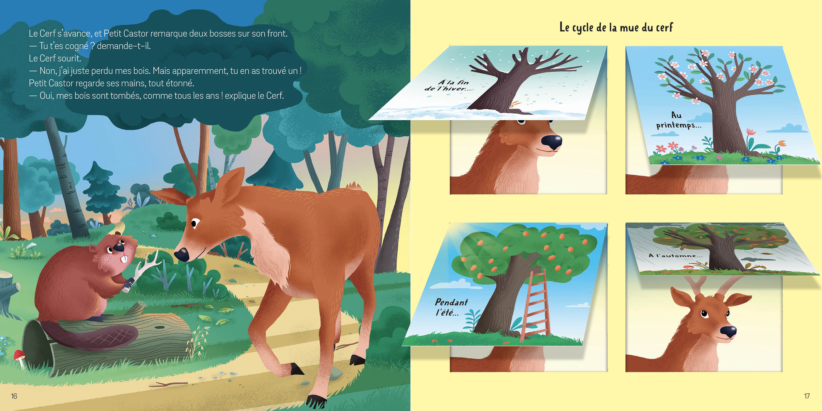 LES ANIMAUX DE LA FORET P