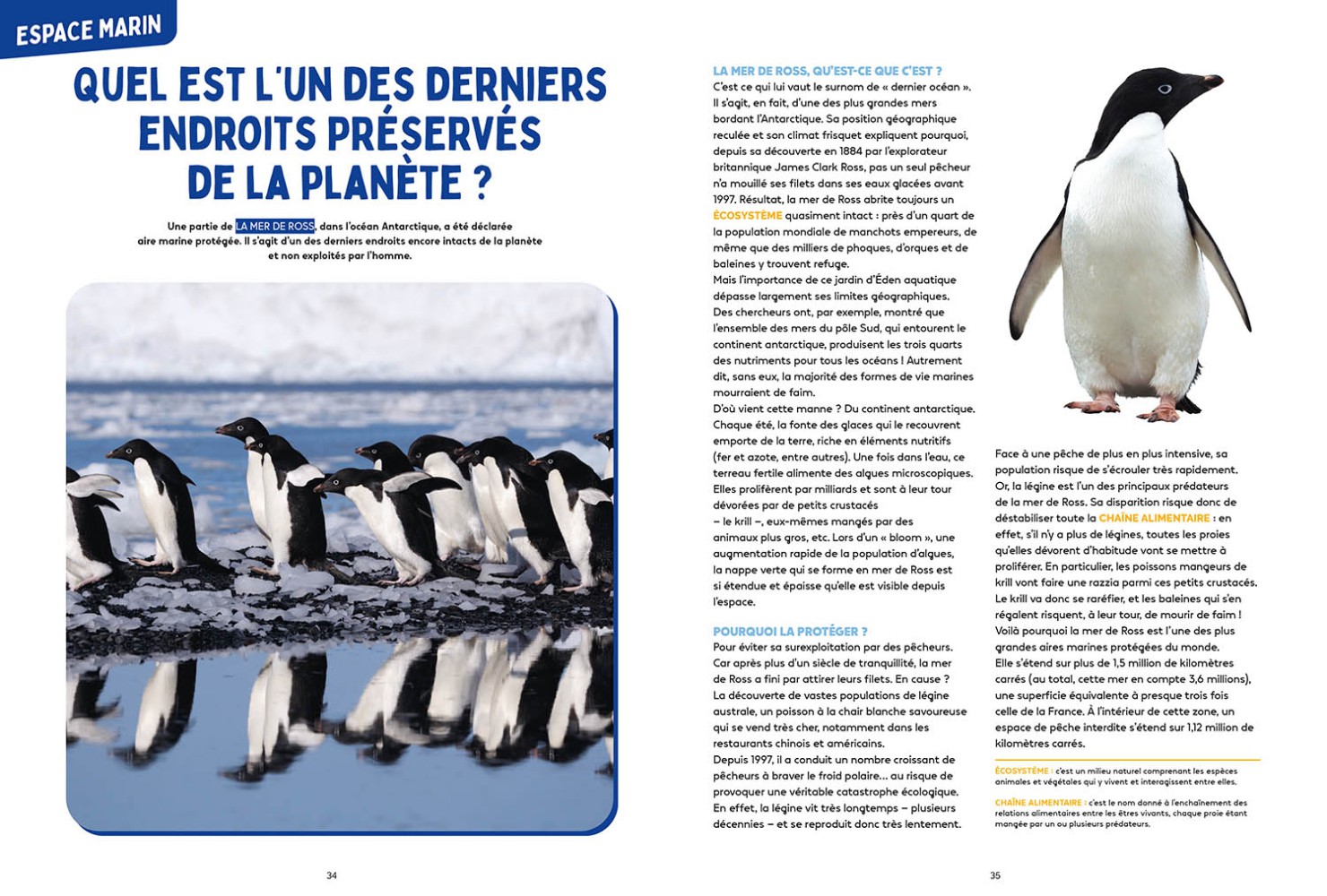 Les Mystères De L'océan - Science & Vie Junior