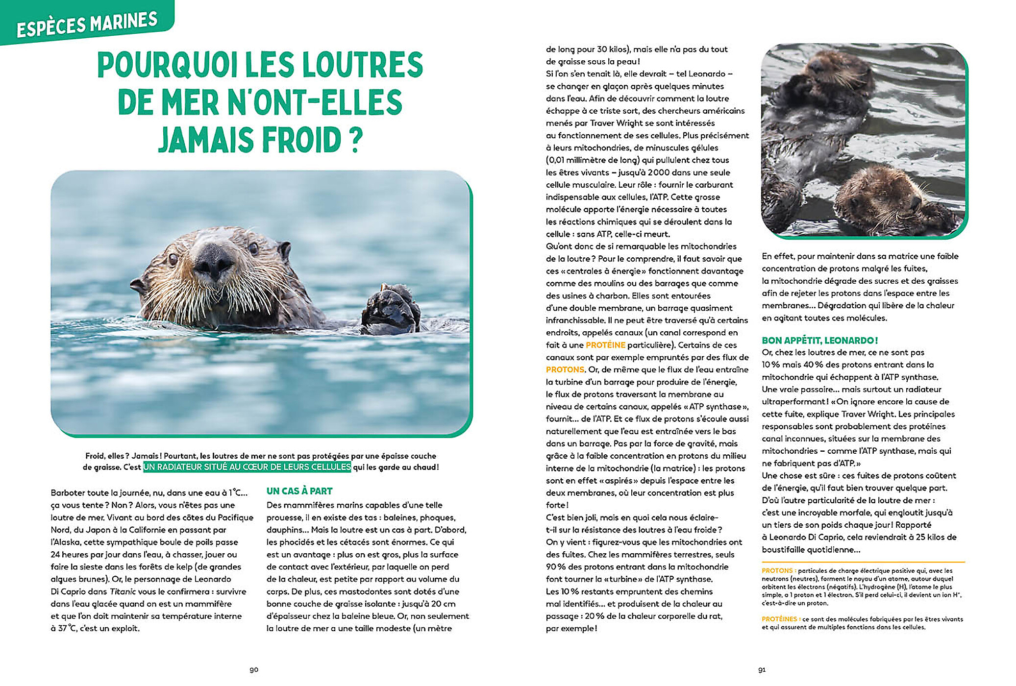 Les Mystères De L'océan - Science & Vie Junior Les Mystères De L'océan - Science & Vie Junior