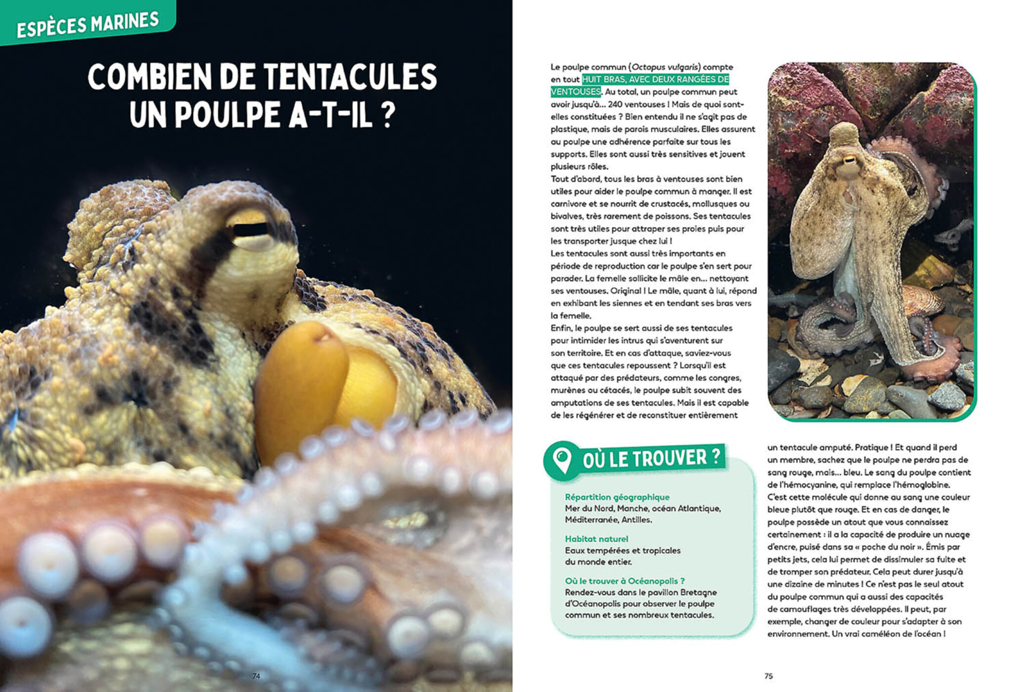 LES MYSTERES DE L LES MYSTERES DE L