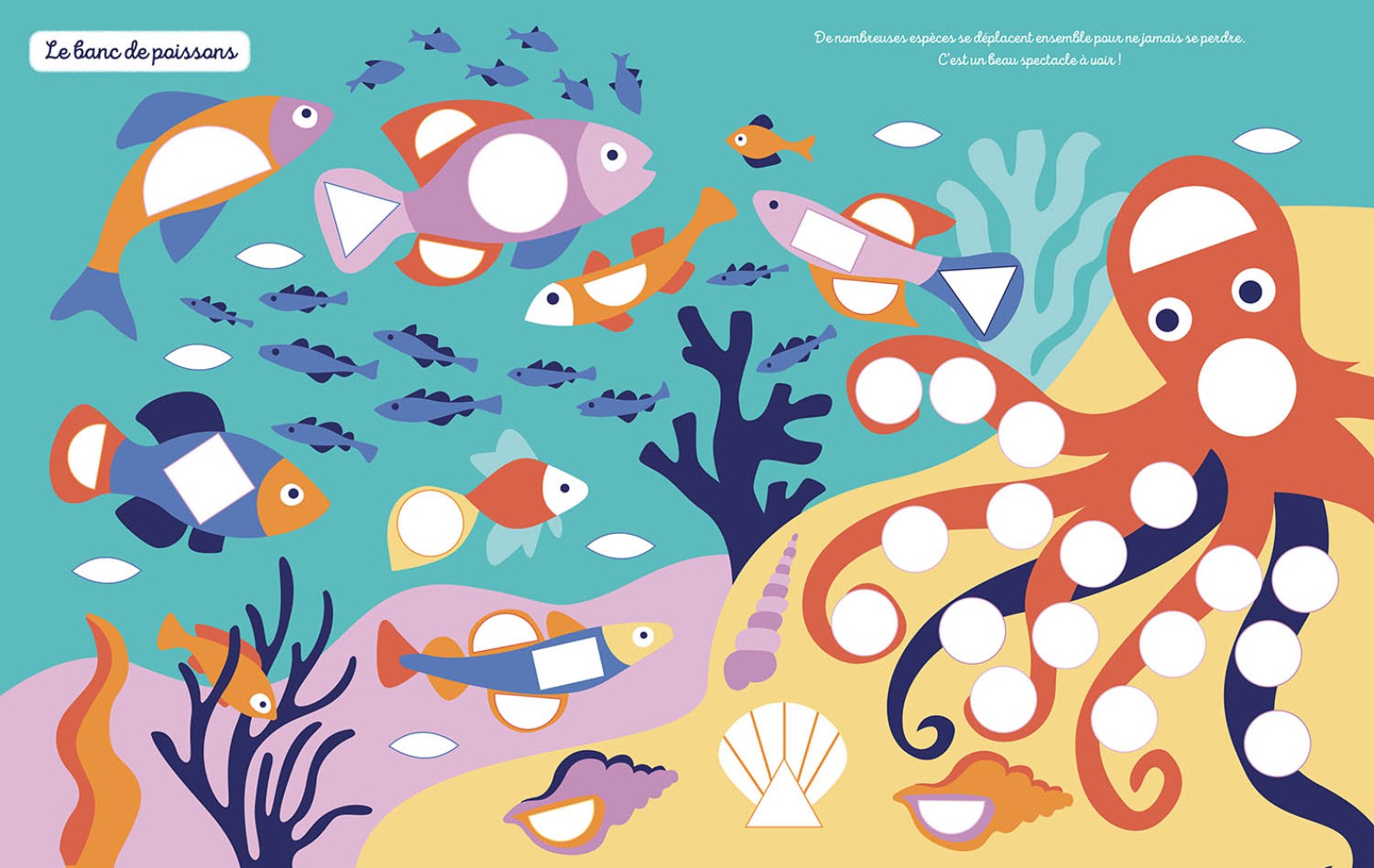 1000 PREMIERES GOMMETTES FORMES - OCEAN