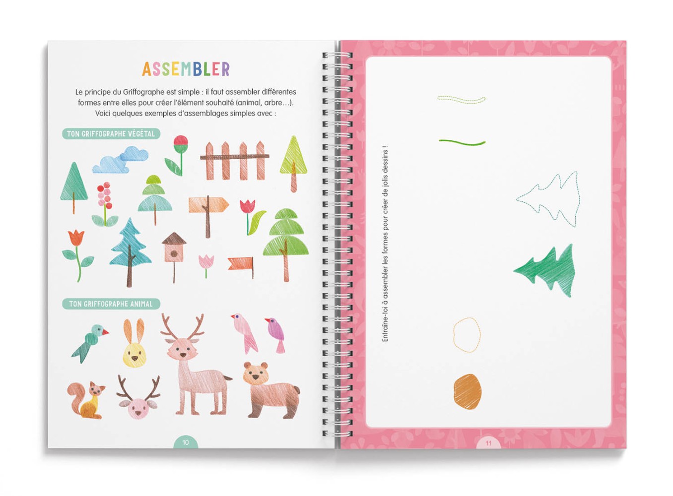 Je dessine pas à pas avec le griffographe - Dans la forêt