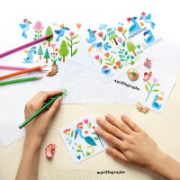 Je dessine pas à pas avec le griffographe - Dans la forêt