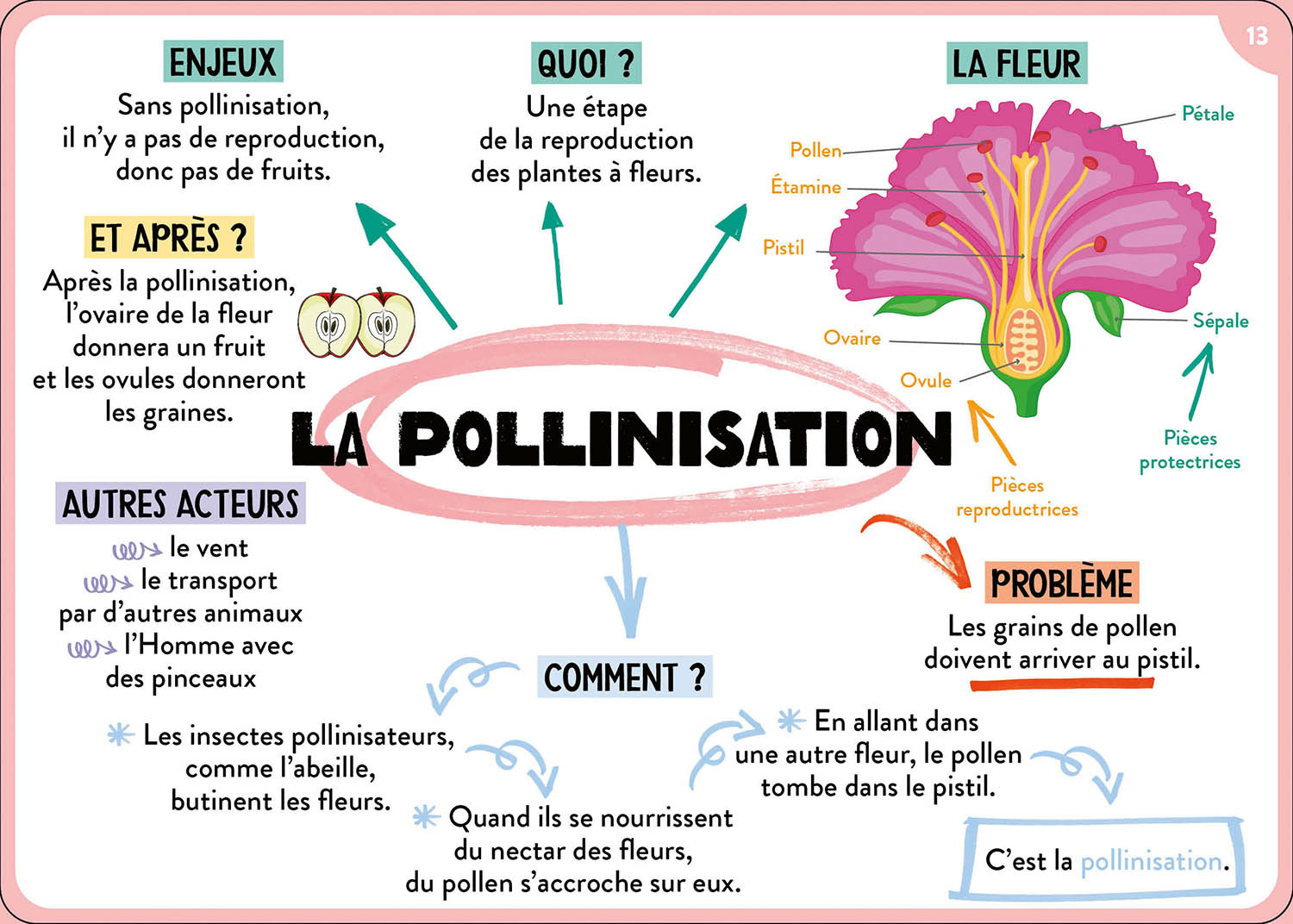 TOUT LE PROGRAMME DE 6E - 100 CARTES MENTALES 