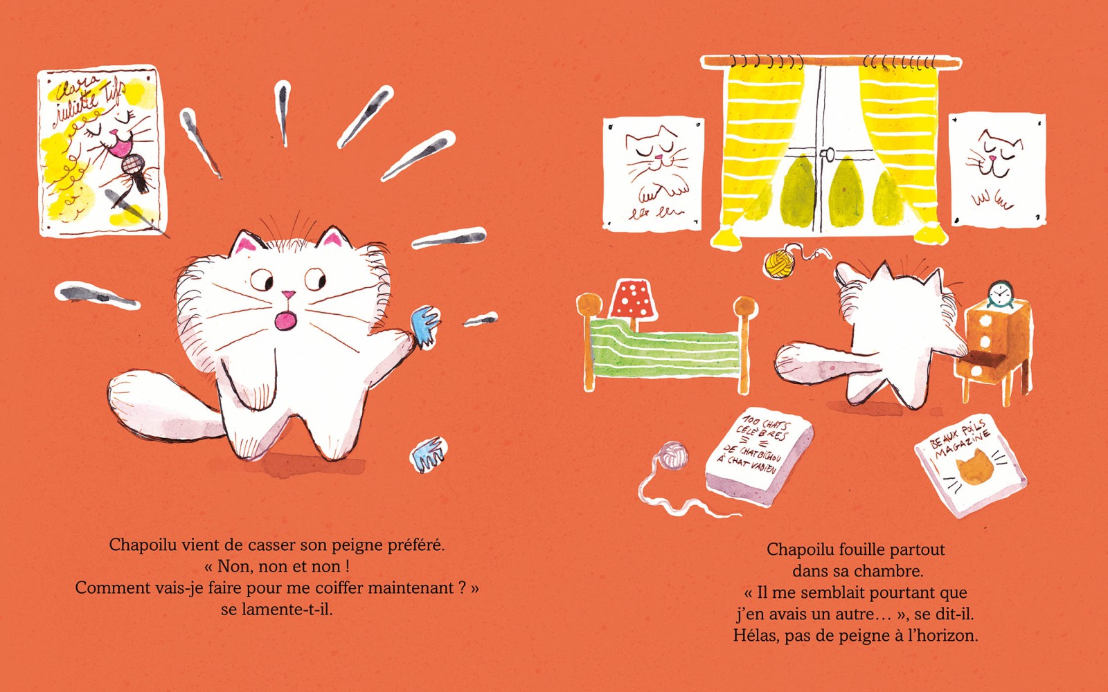 CHAPOILU ET LE SUPERMARCHE DES BONS AMIS