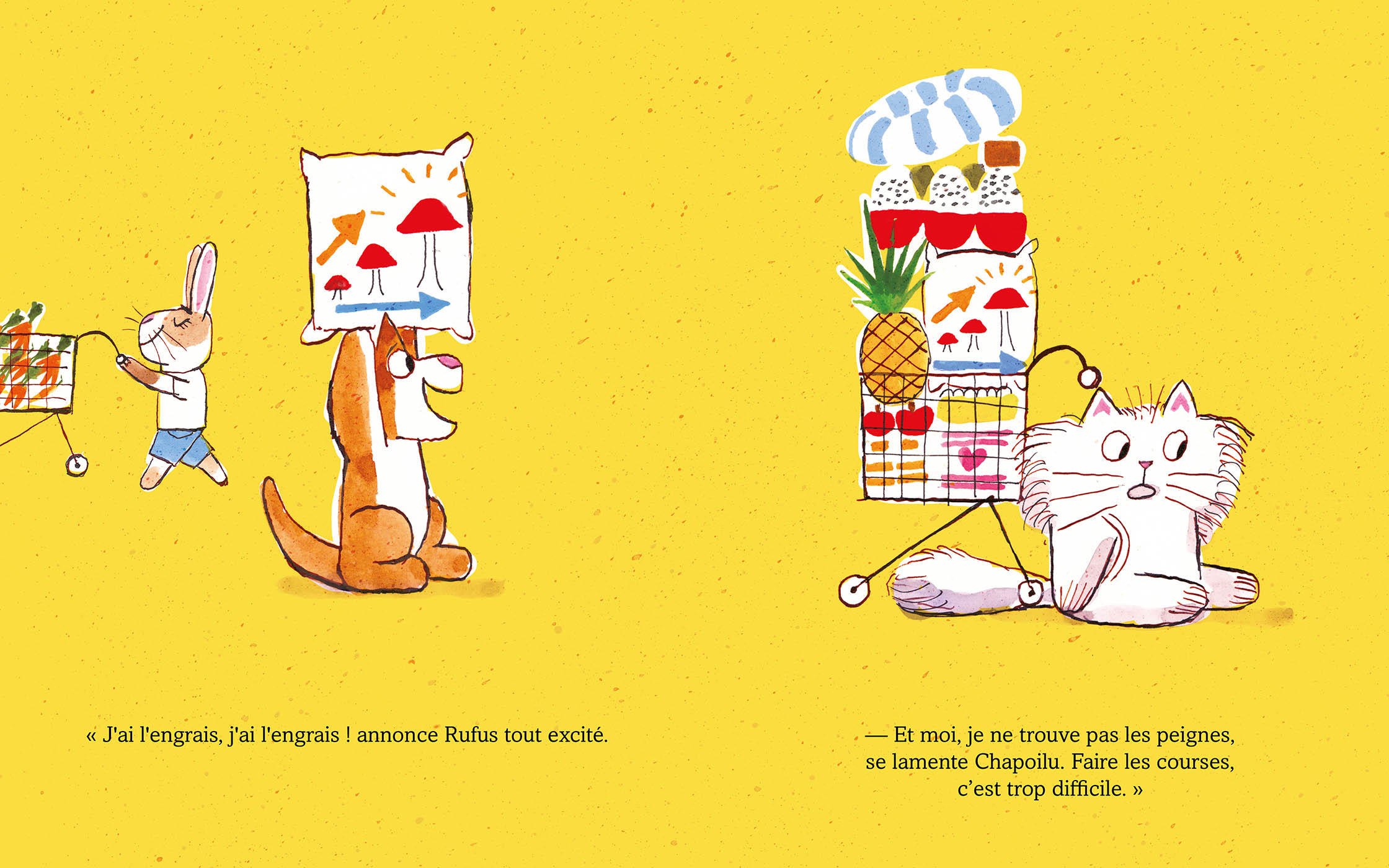 CHAPOILU ET LE SUPERMARCHE DES BONS AMIS