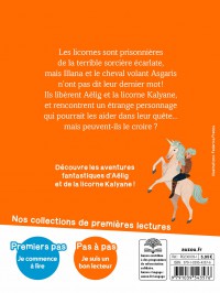 LE SEIGNEUR DES NUAGES - LE MAITRE DES LICORNES T11