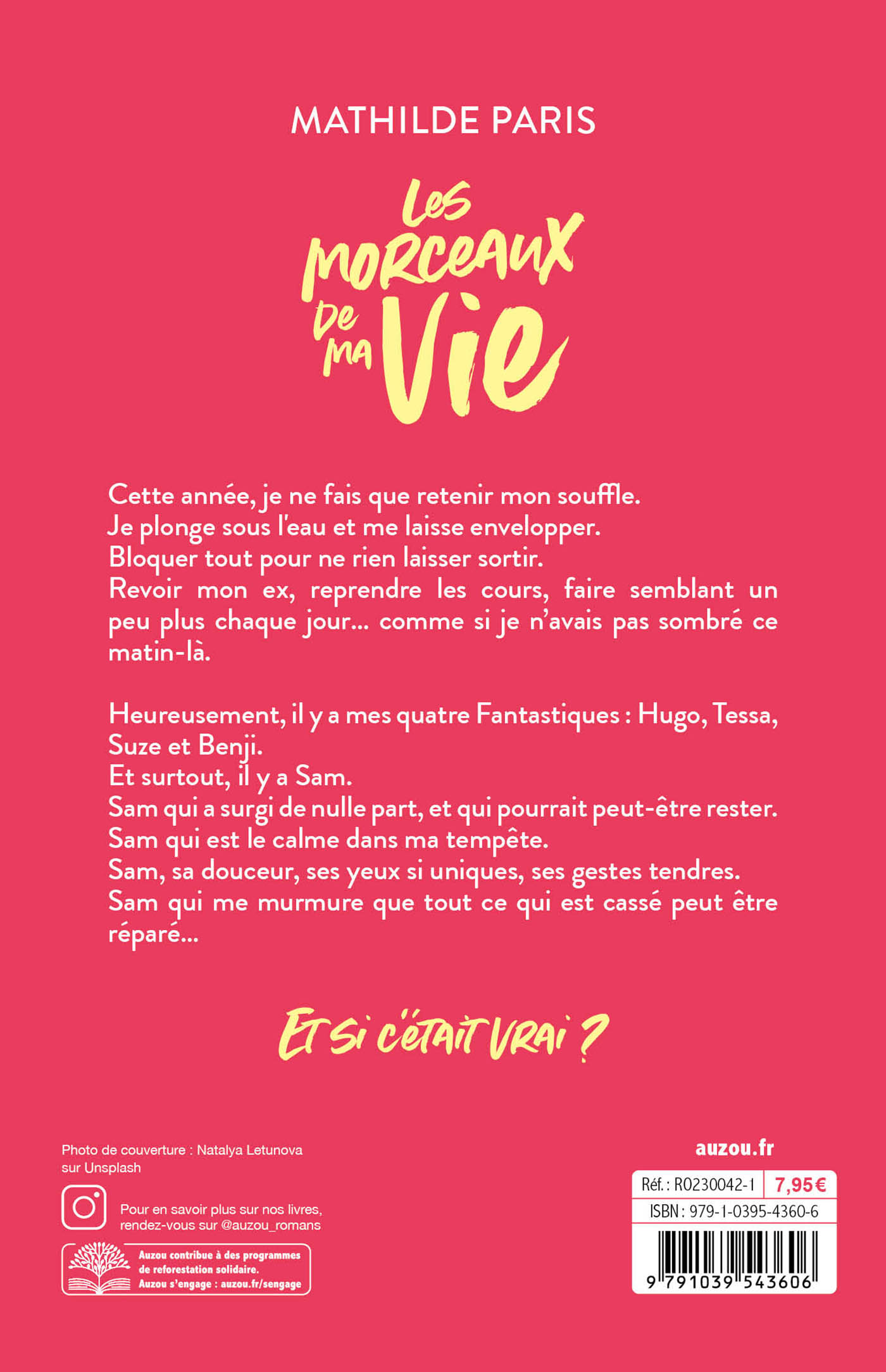 LES MORCEAUX DE MA VIE