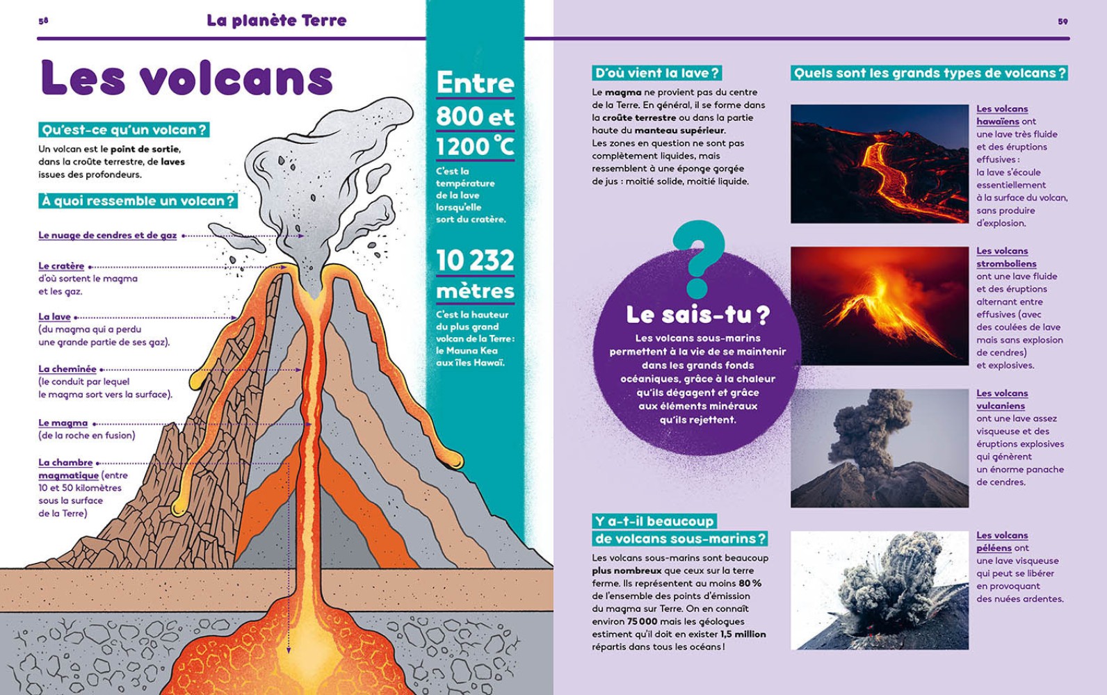 1001 POURQUOI COMMENT - SCIENCE & VIE JUNIOR