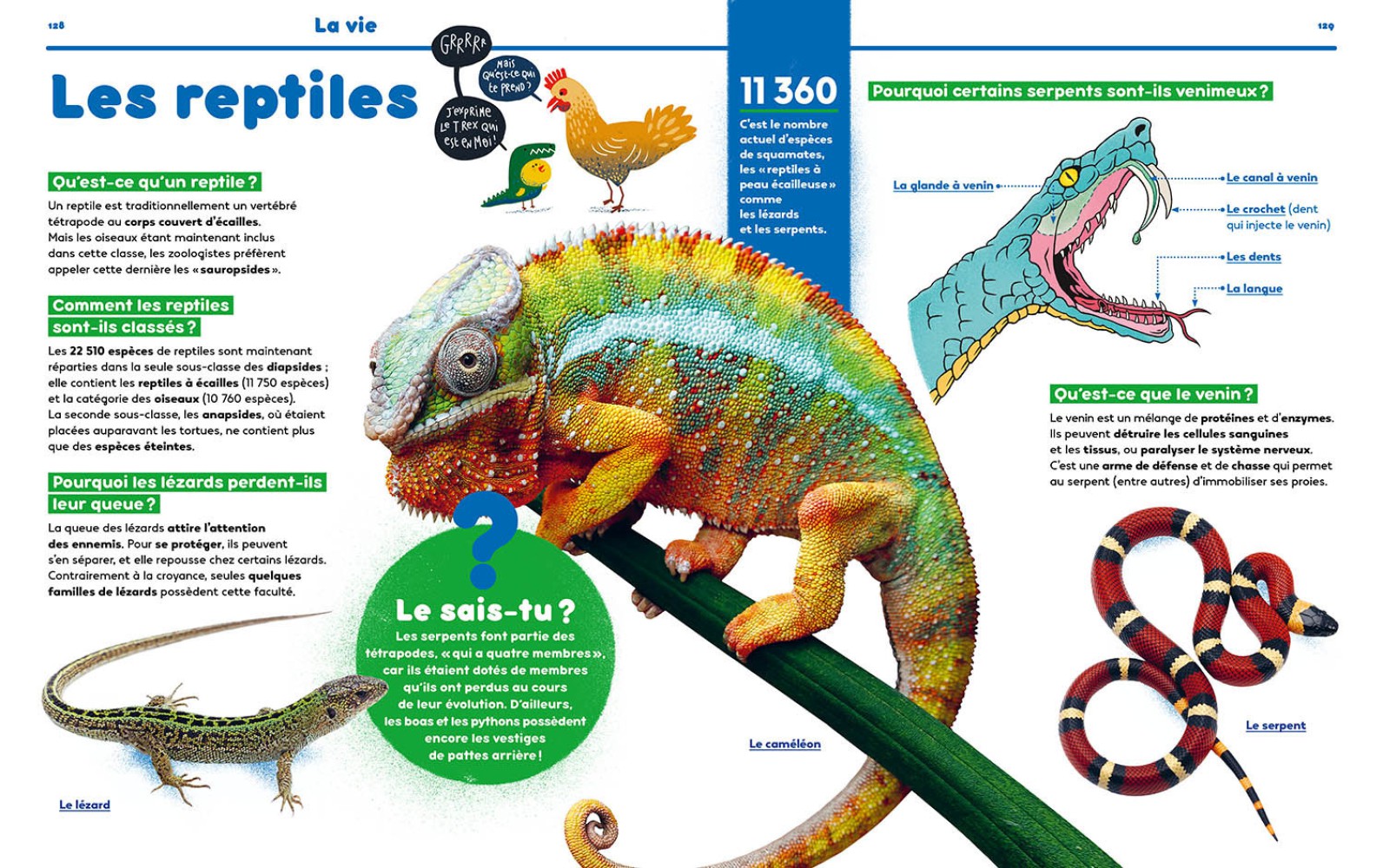 1001 POURQUOI COMMENT - SCIENCE & VIE JUNIOR