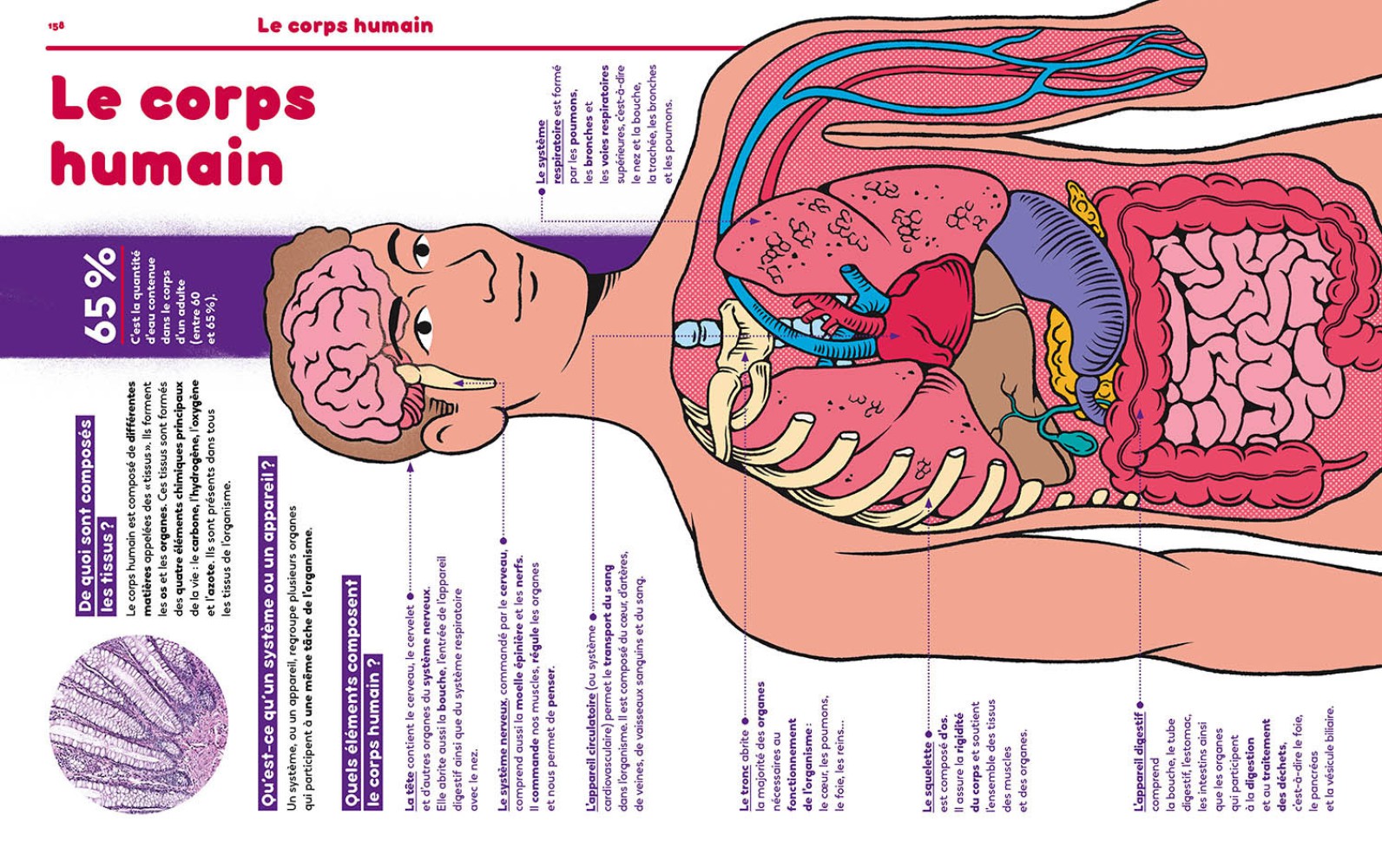 1001 POURQUOI COMMENT - SCIENCE & VIE JUNIOR