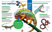 1001 POURQUOI COMMENT - SCIENCE & VIE JUNIOR 1001 POURQUOI COMMENT - SCIENCE & VIE JUNIOR