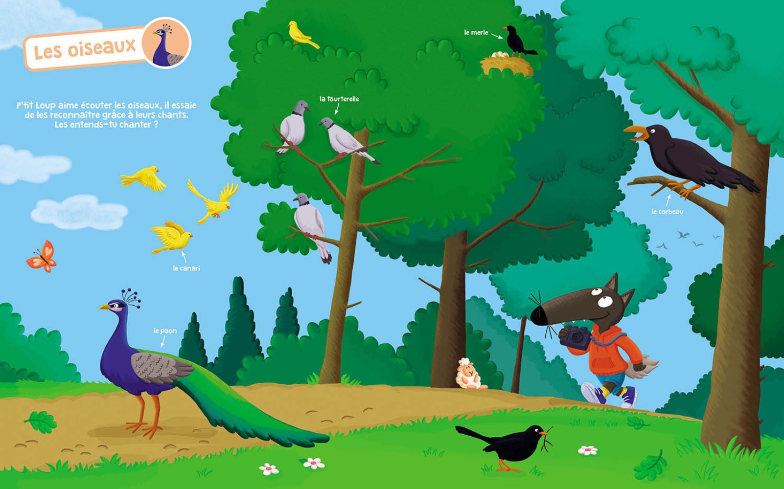 P'tit Loup - Mon Livre Sonore - Les Animaux