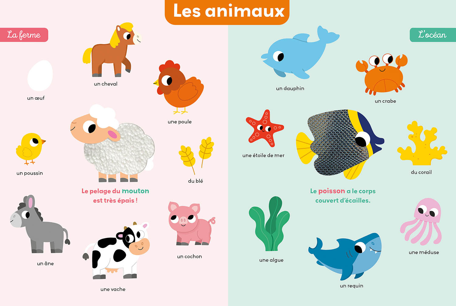 MON PREMIER IMAGIER A TOUCHER