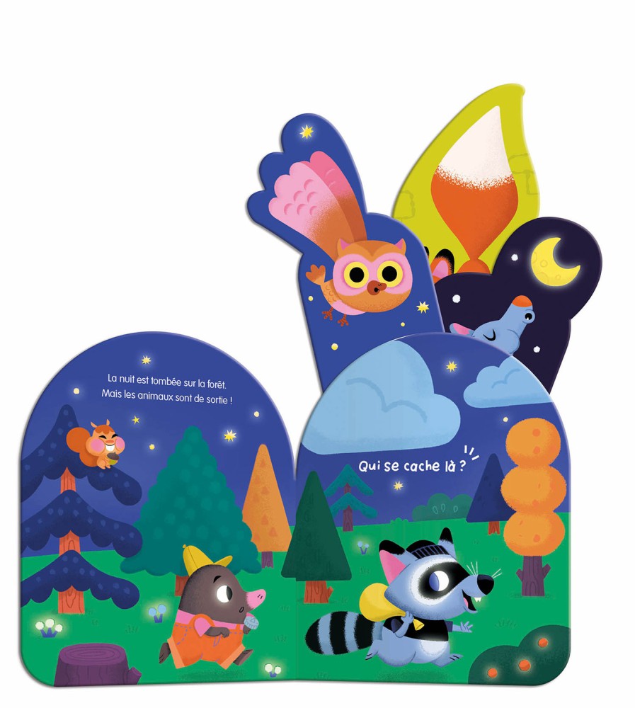 Qui Se Cache Dans La Nuit ?