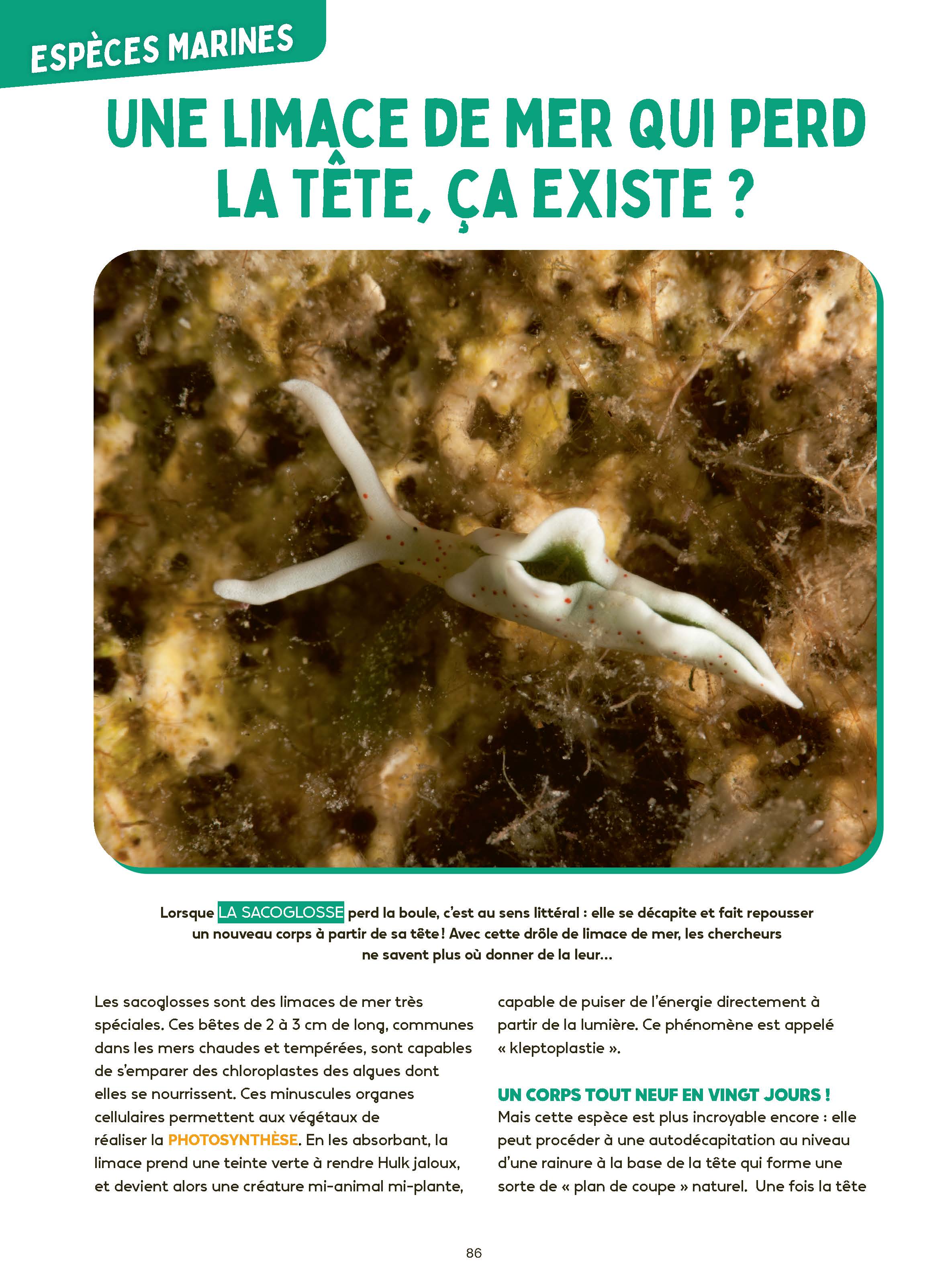 LES MYSTERES DE L LES MYSTERES DE L
