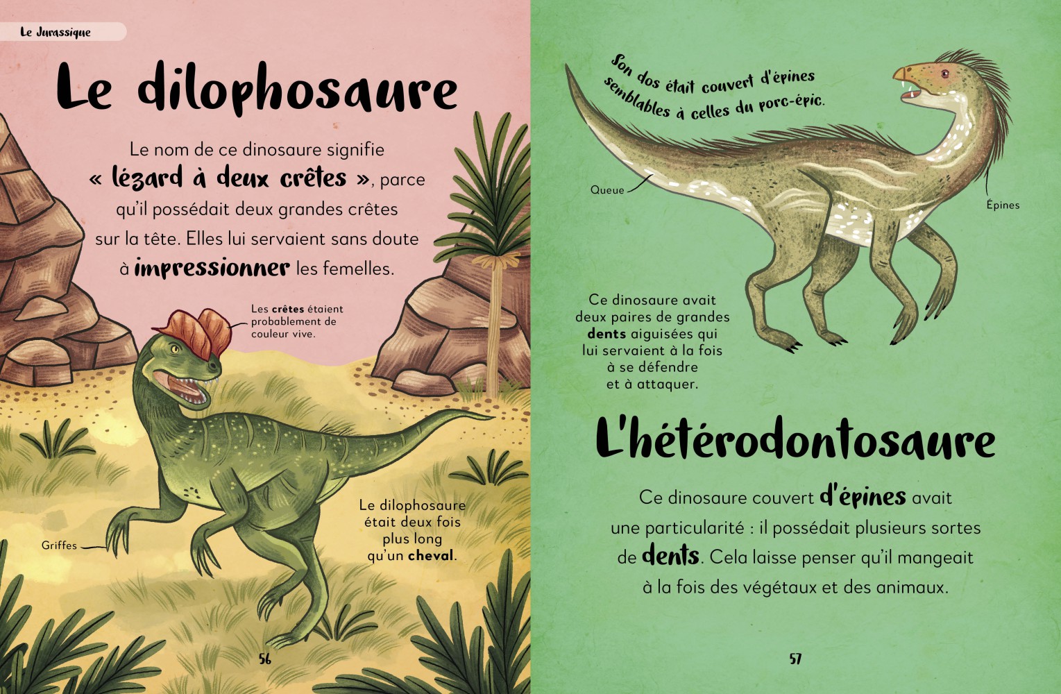 Ma Première Anthologie Des Dinosaures Et Autres Animaux Préhistoriques