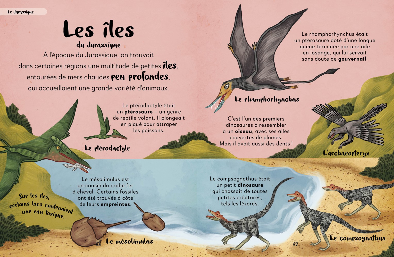 Ma Première Anthologie Des Dinosaures Et Autres Animaux Préhistoriques