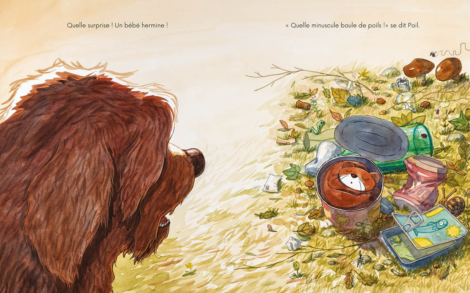 POIL ET PLUME