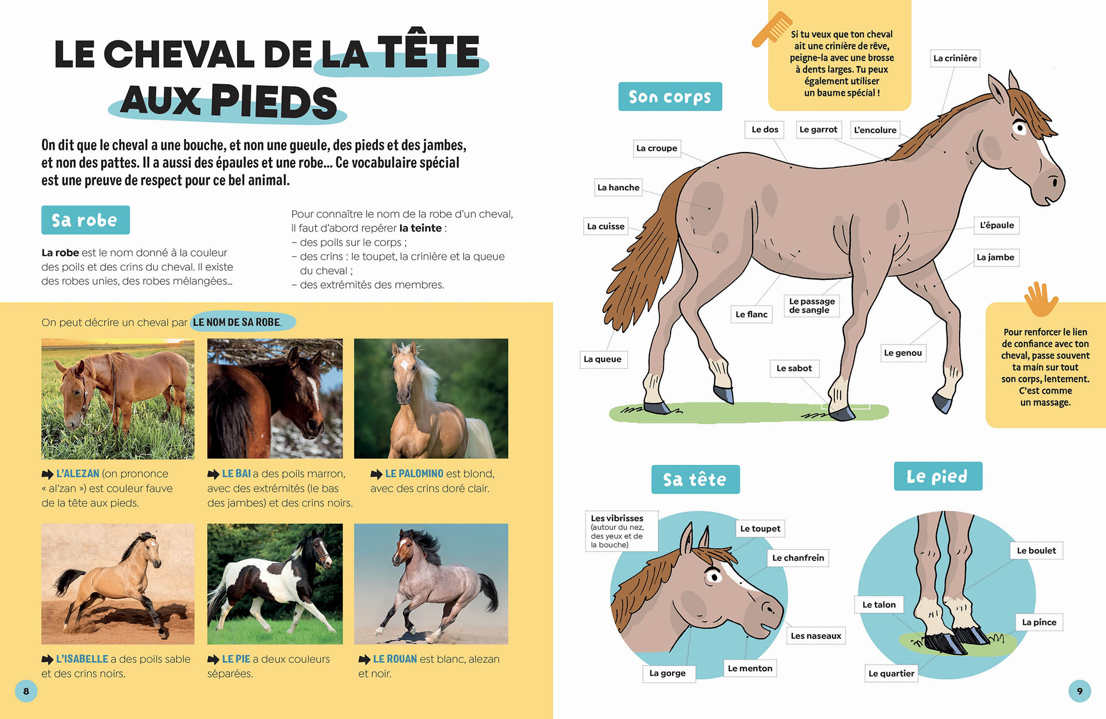 LES CHEVAUX - LUDOC - DECOUVRIR ET COLLECTIONNER