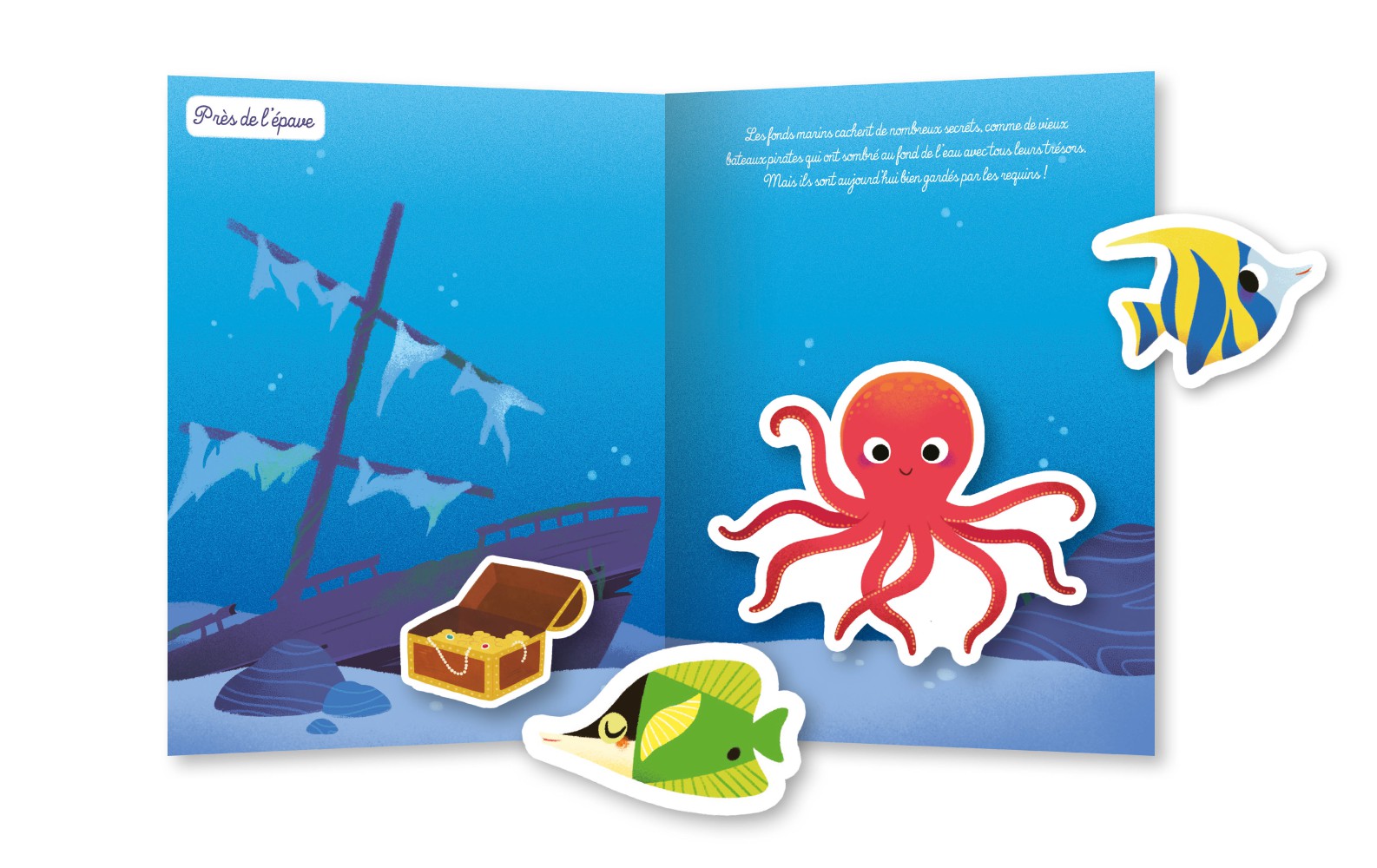 NE 250 autocs océan 