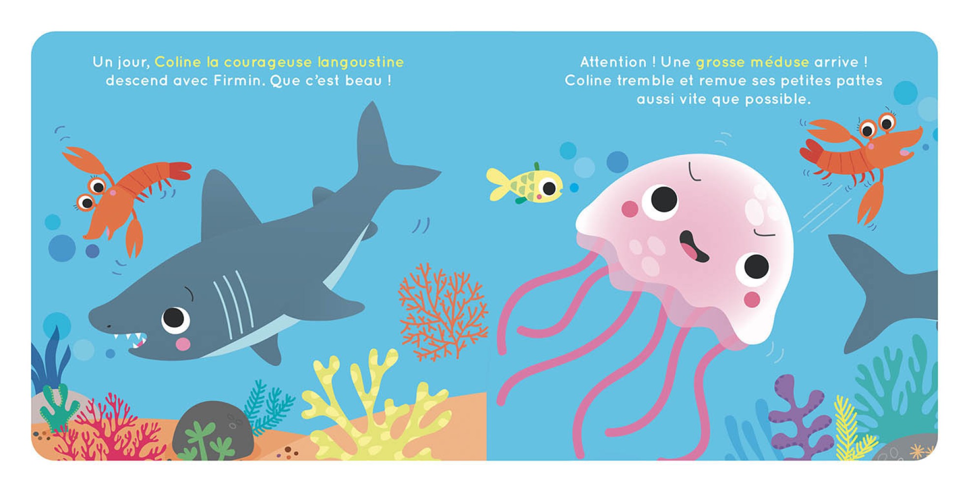 Valisette carton - Firmin le requin