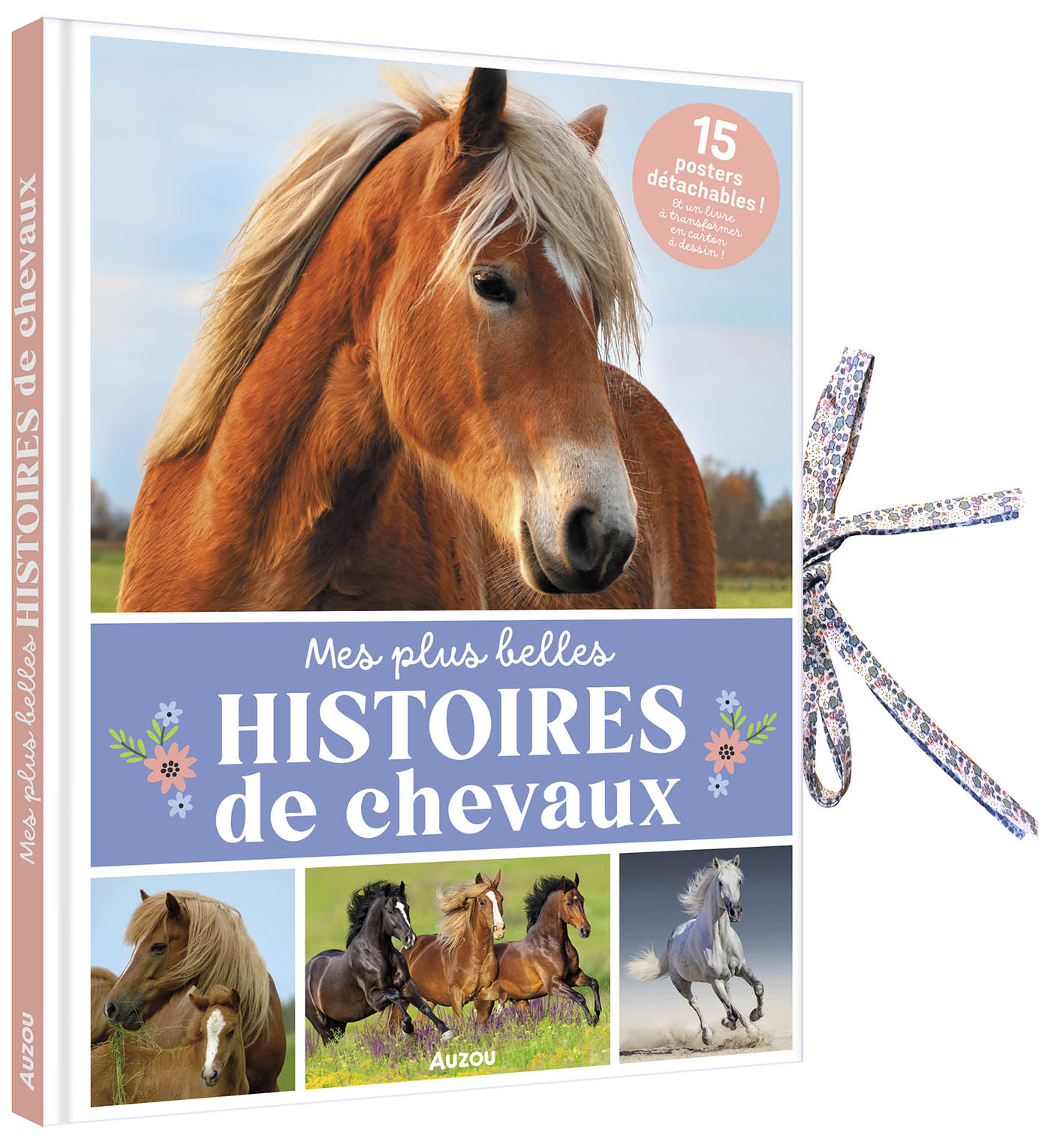 LIVRE POSTER : MES HISTOIRES DE CHEVAUX