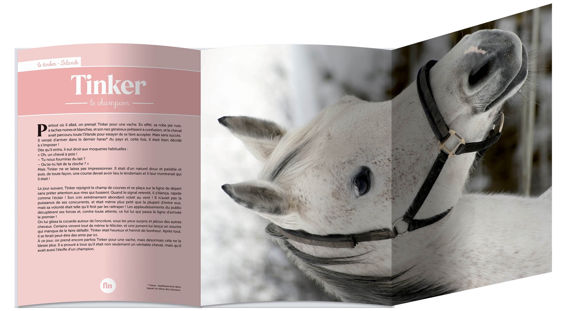 LIVRE POSTER : MES HISTOIRES DE CHEVAUX