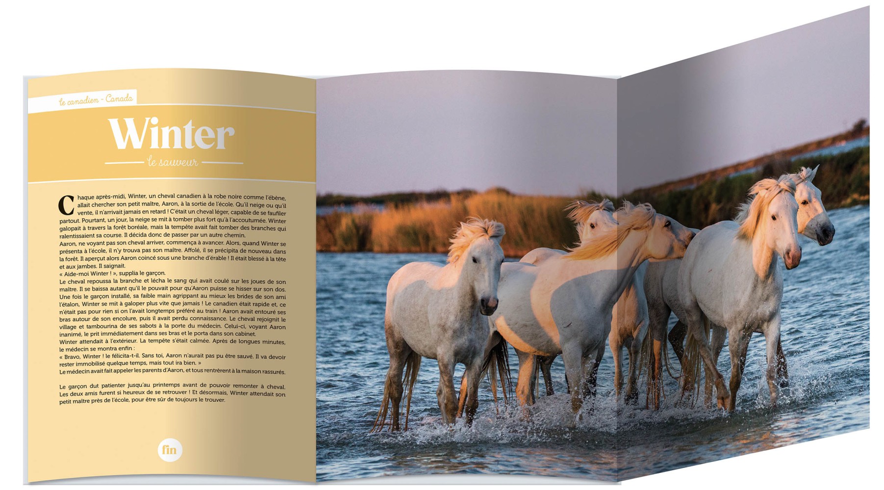 LIVRE POSTER : MES HISTOIRES DE CHEVAUX