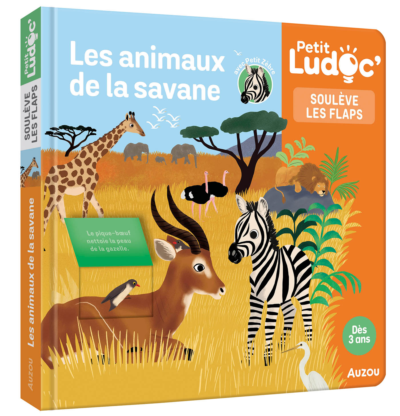Les Animaux De La Savane