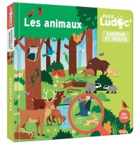 Voir les images