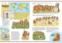 HISTOIRES D