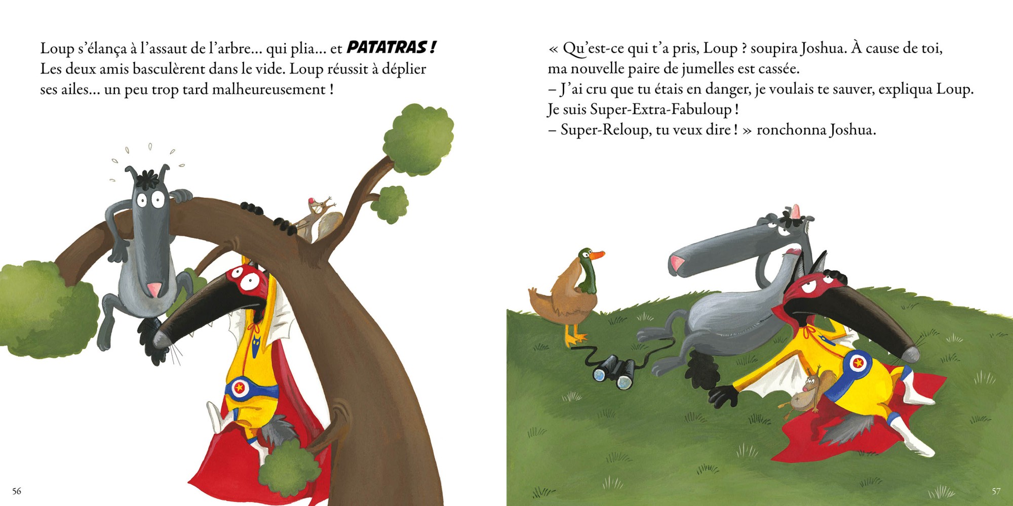 COFFRET PELUCHE - MES ETONNANTES HISTOIRES LOUP