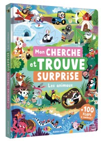 Voir les images