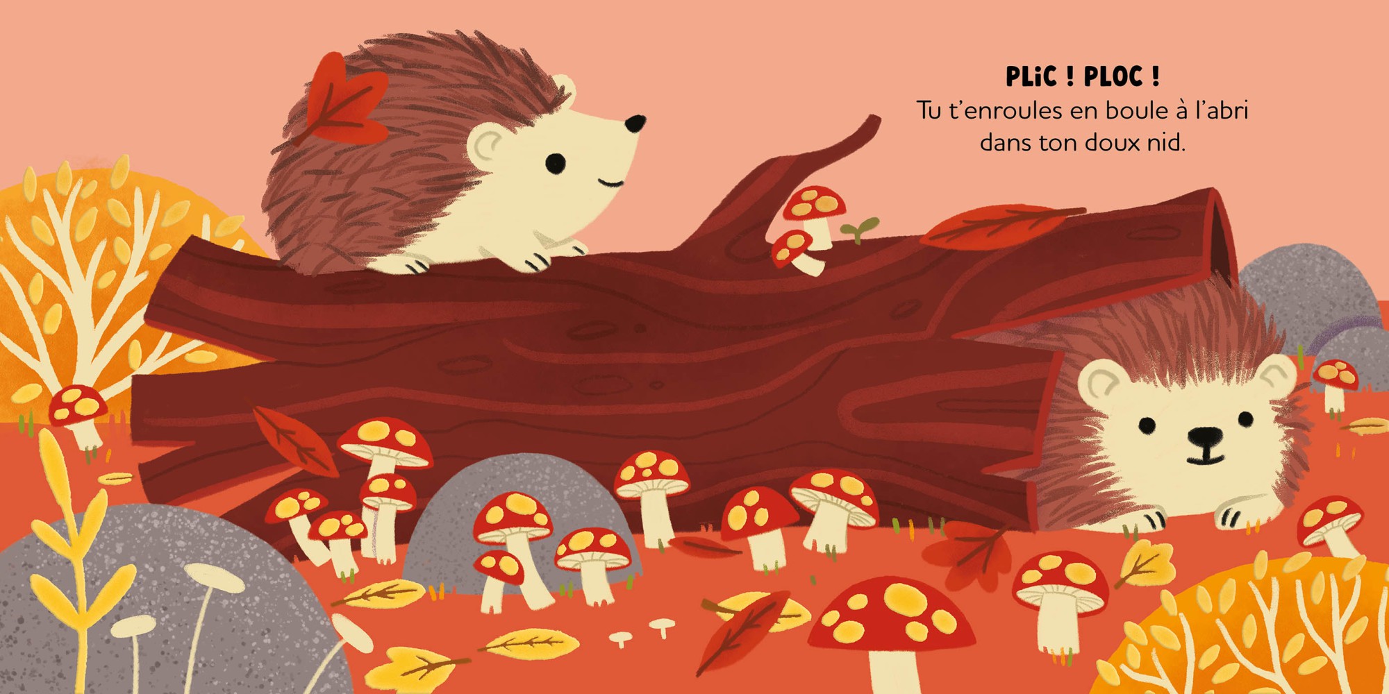 AU COEUR DE LA FORET - HISTOIRES A CALINER