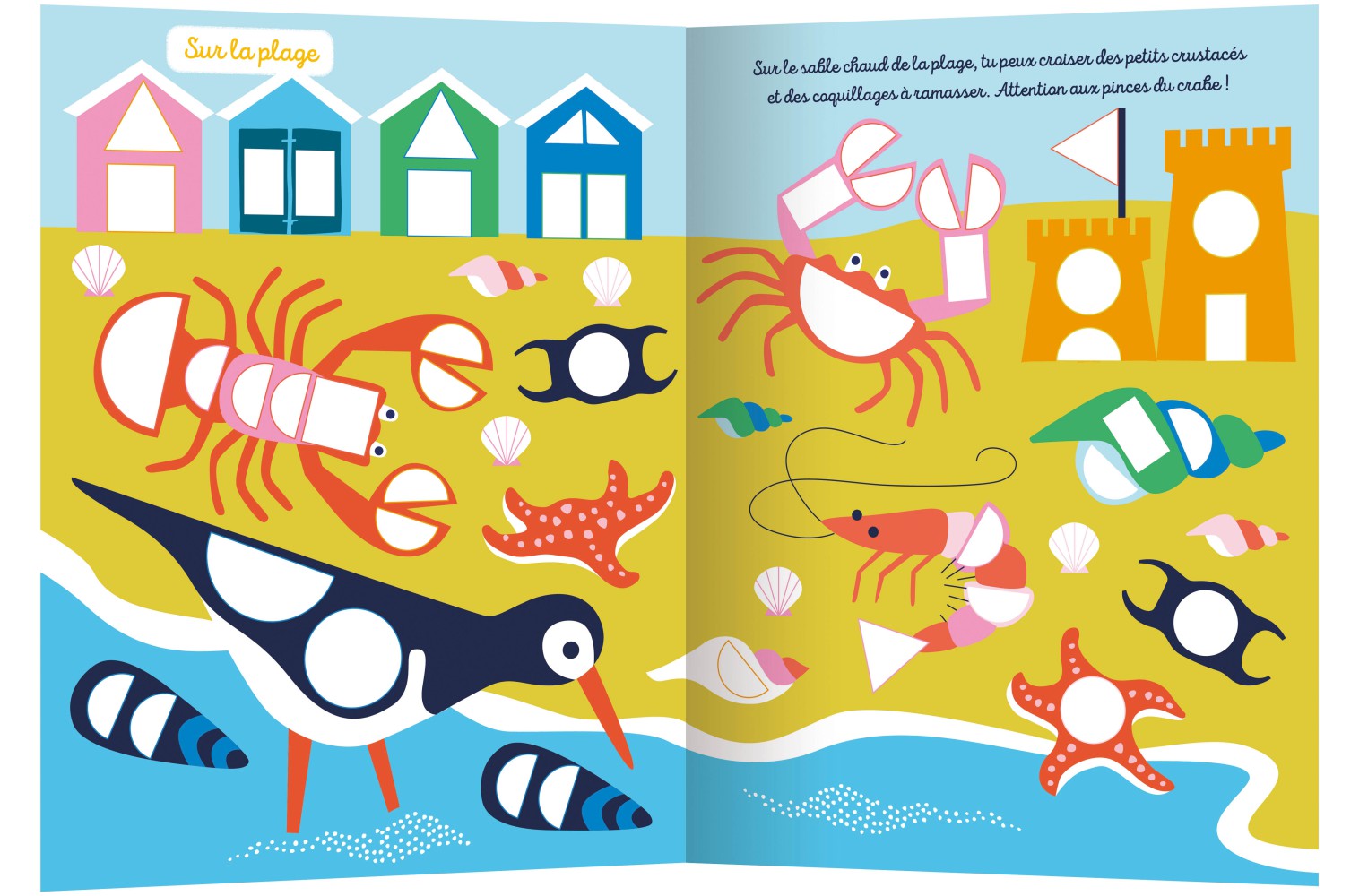 1000 Premières Gommettes Formes Océan