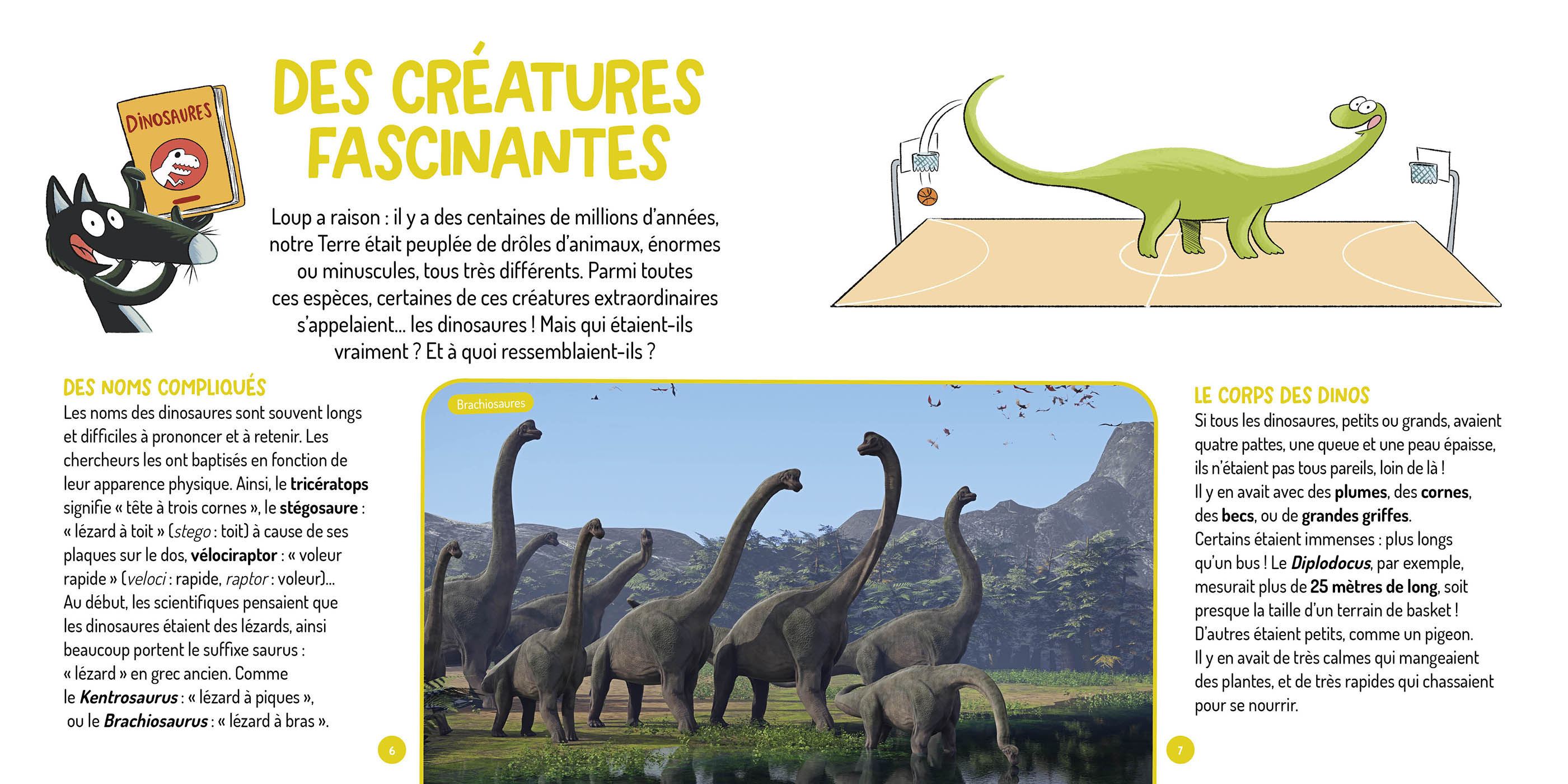 LES QUESTIONS DE LOUP - LES DINOSAURES LES QUESTIONS DE LOUP - LES DINOSAURES